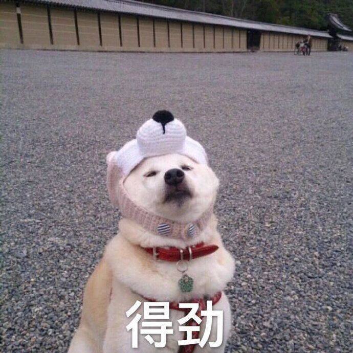 ​合欢视频导航的快樂，是省錢給的！