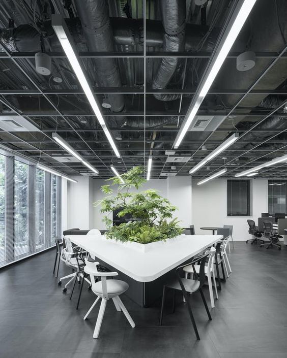 如何應對廣東回南天？辦公室除濕技巧來啦