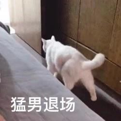 ​辦公室暖場王，冬季降溫限定分享